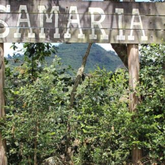 Colombia Samaria Farm EA Decaf